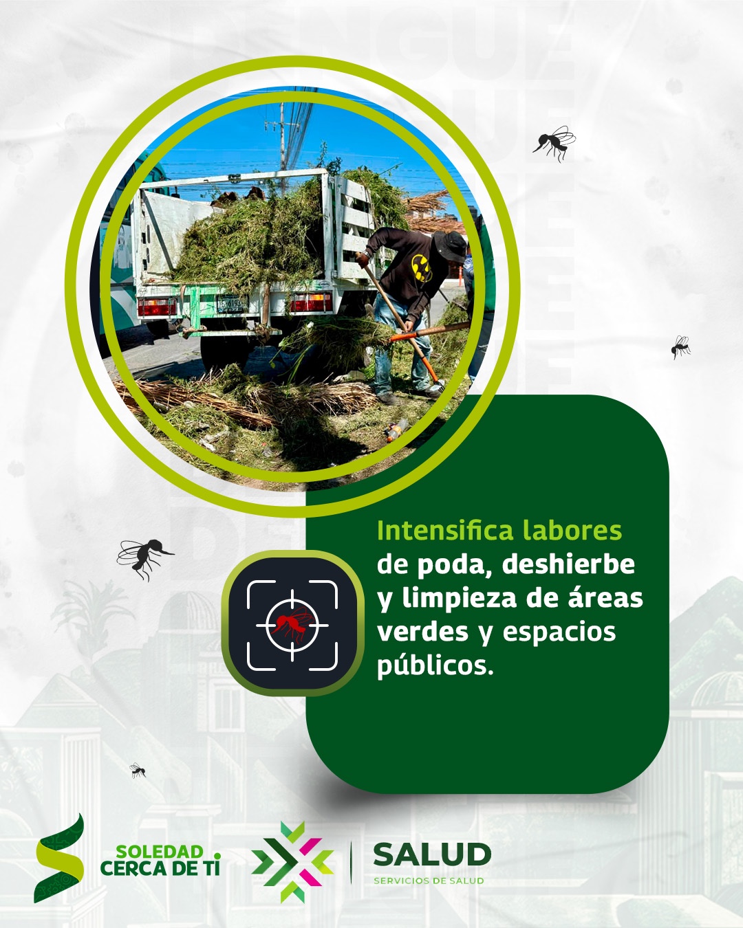 dengue