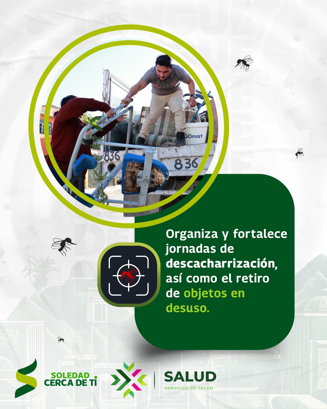 dengue
