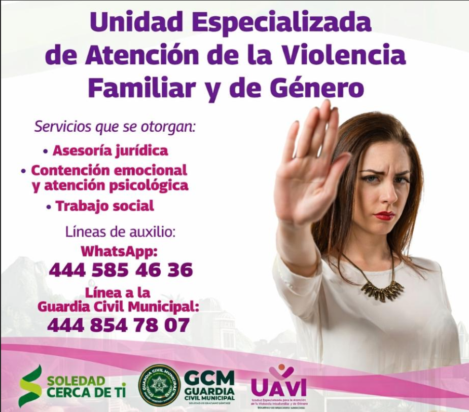 Atencion de la violencia Familiar y de Genero