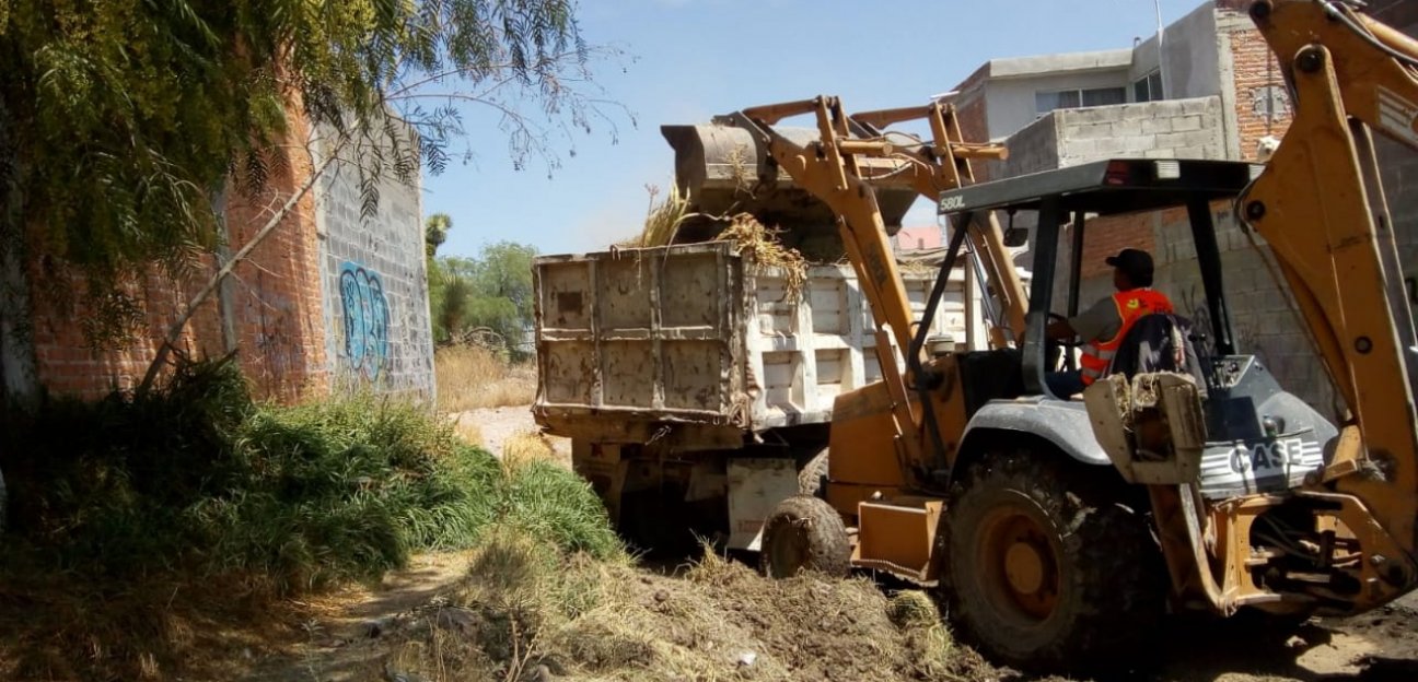 Se realizan trabajos de limpieza en canales de riego y drenes pluviales