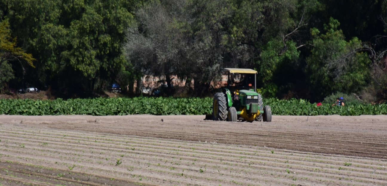 Fortalecen acciones en coordinación con núcleos agrarios que beneficiarán al campo soledense