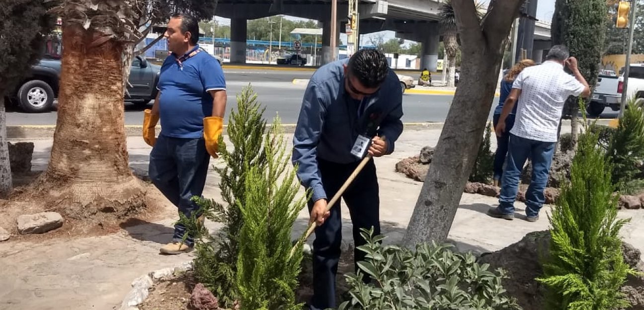 Trabajo de 24 horas para mejorar imagen urbana en Cabecera Municipal