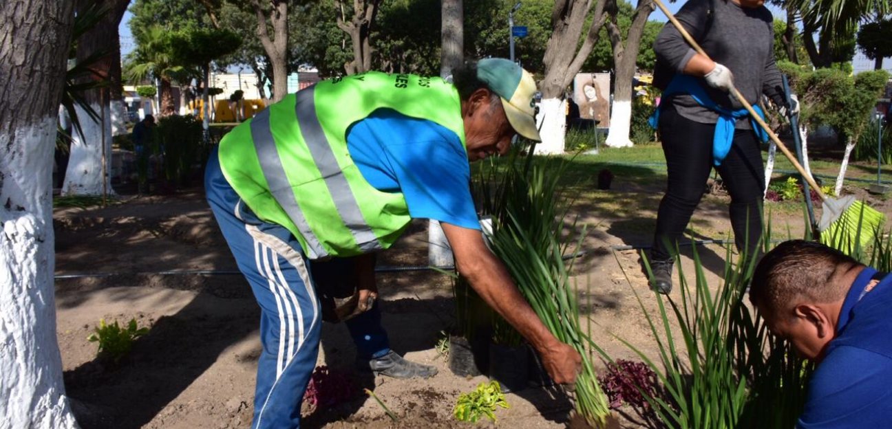 Mejora ayuntamiento de Soledad imagen urbana del Jardín Principal