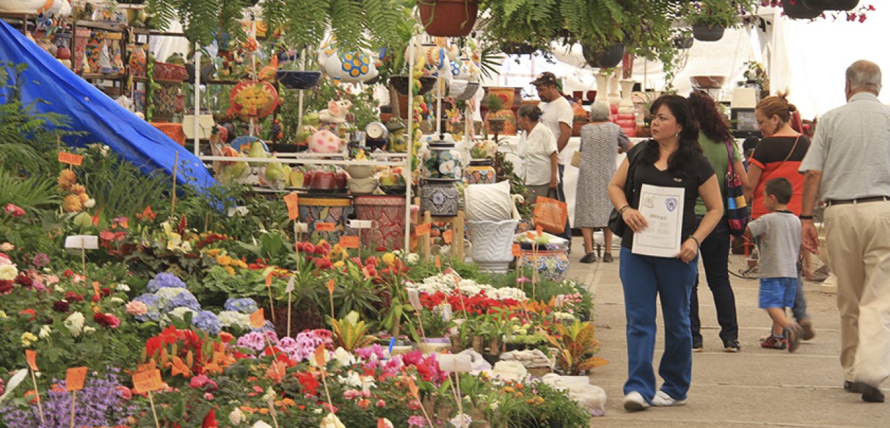 Alistan una edición más de la Feria de las Flores