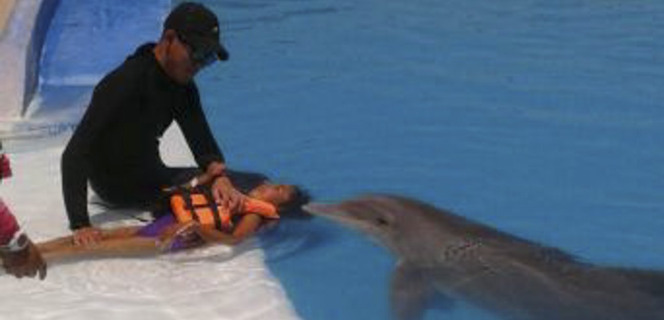 DIF municipal alista nueva etapa de Terapia Asistida con Delfines