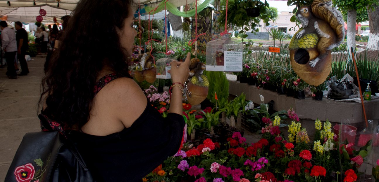 La Feria de las Flores con atractivas actividades en su edición 2019 para toda la familia 