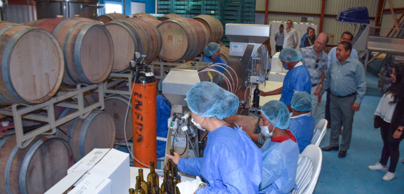 Impulsan ruta del vino y el queso en Soledad