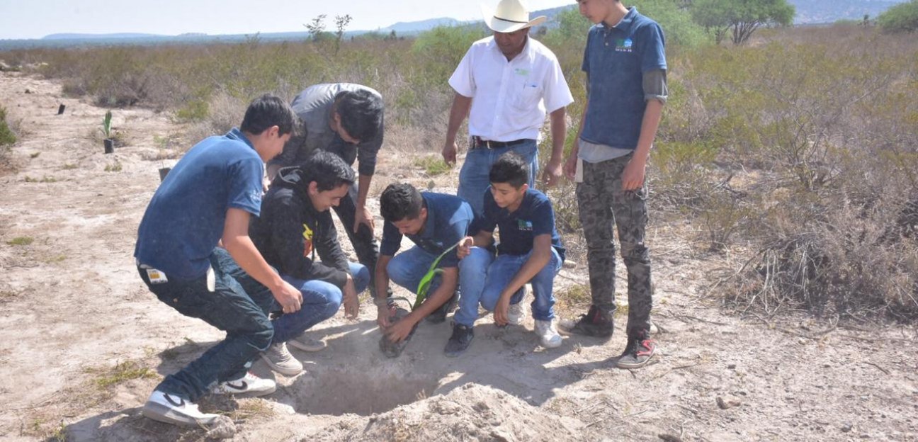 Favorables resultados han dado campañas de reforestación en comunidades y ejidos de Soledad