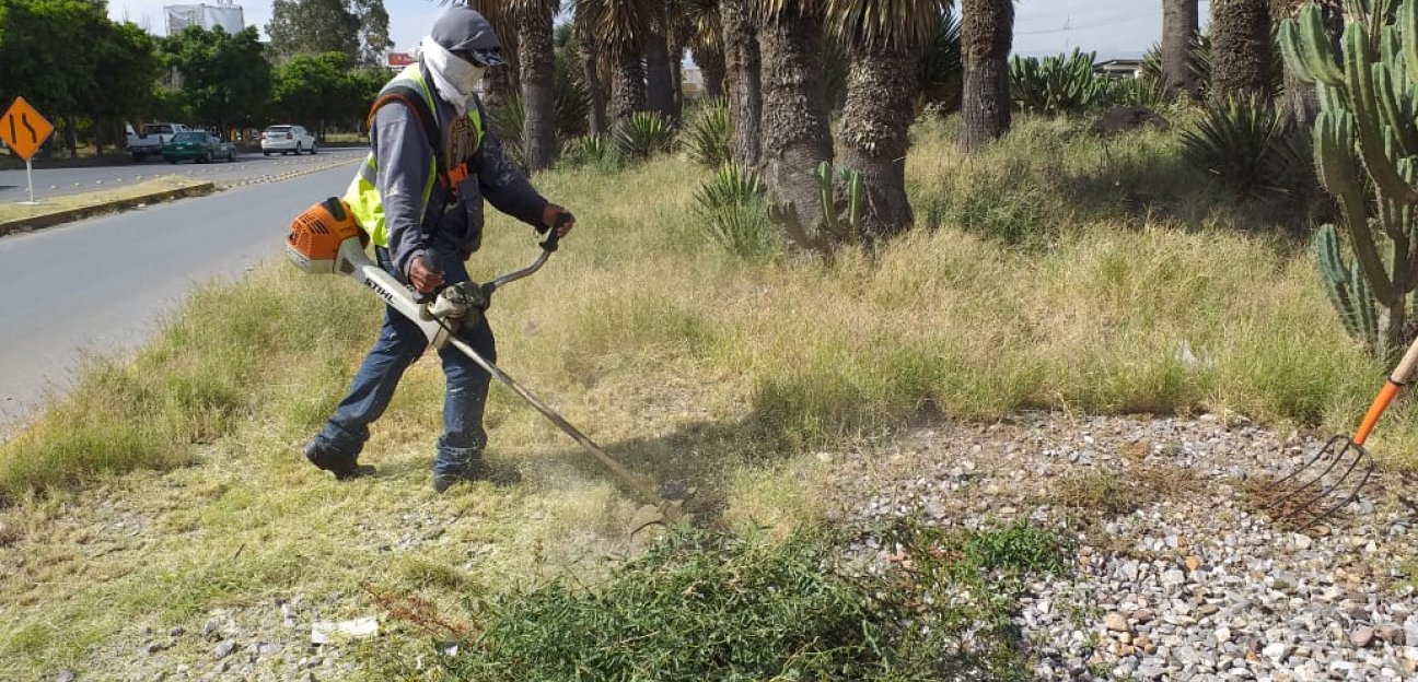Trabajos de rehabilitación se aplican en lateral de Carretera a Matehuala