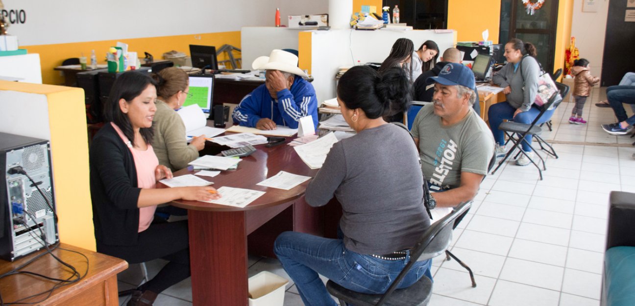 Atiende ecología solicitudes de limpieza de lotes baldíos