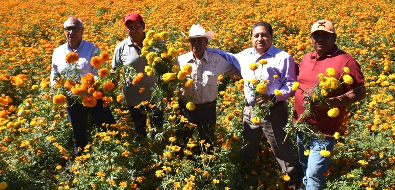 Evento Cosechando Tradiciones reconoce la labor de productores de la flor de cempasúchil en Soledad