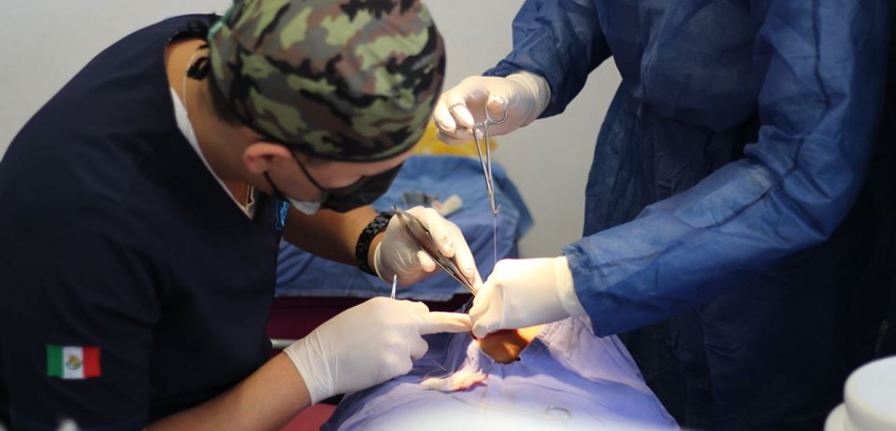 Continúa DIF con cirugías gratuitas de frenillo 