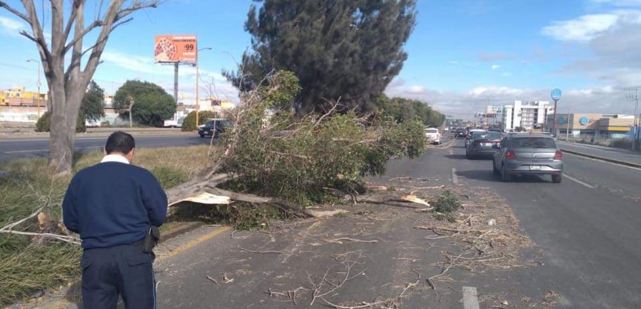 Atendió PC contigencias por fuertes ráfagas de viento 