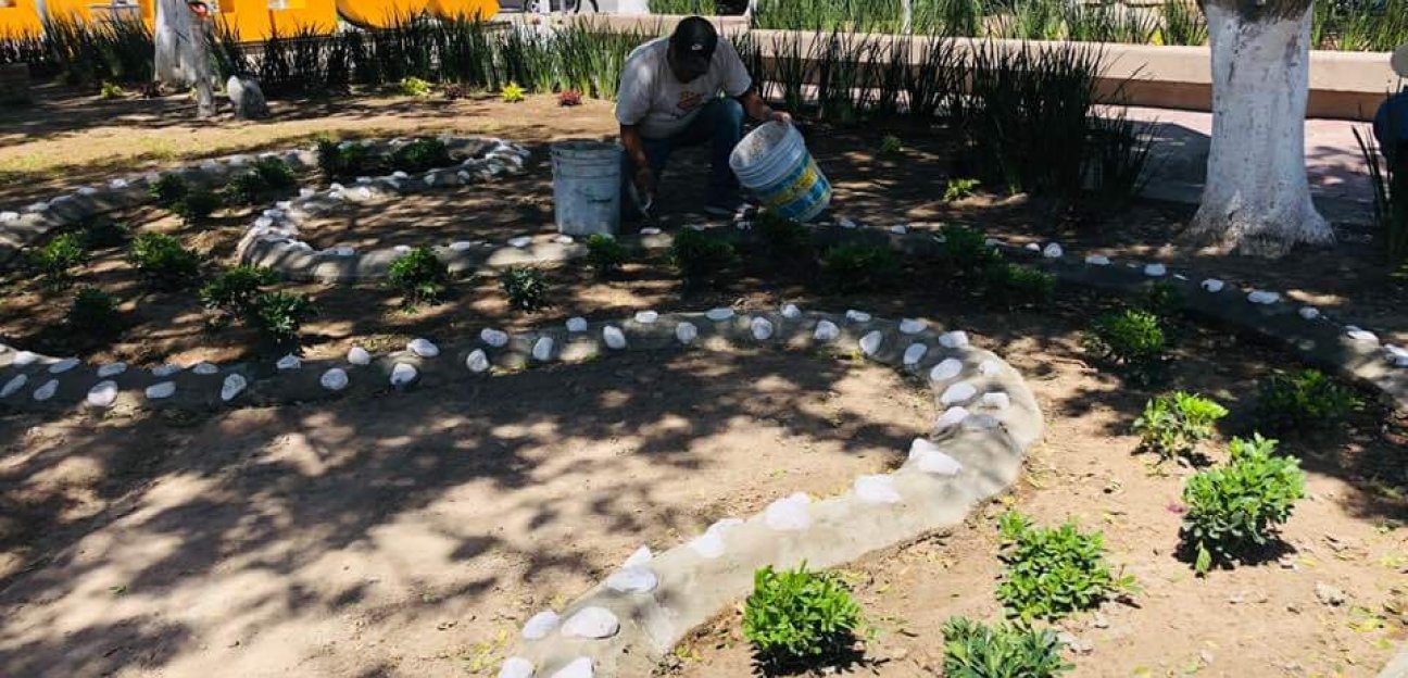 Áreas verdes reciben atención como parte de campaña de reforestación