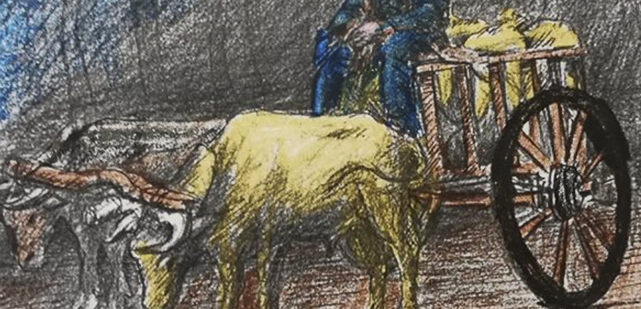 Cultura Soledad continúa compartiendo contenidos y actividades durante la Jornada de Sana Distancia