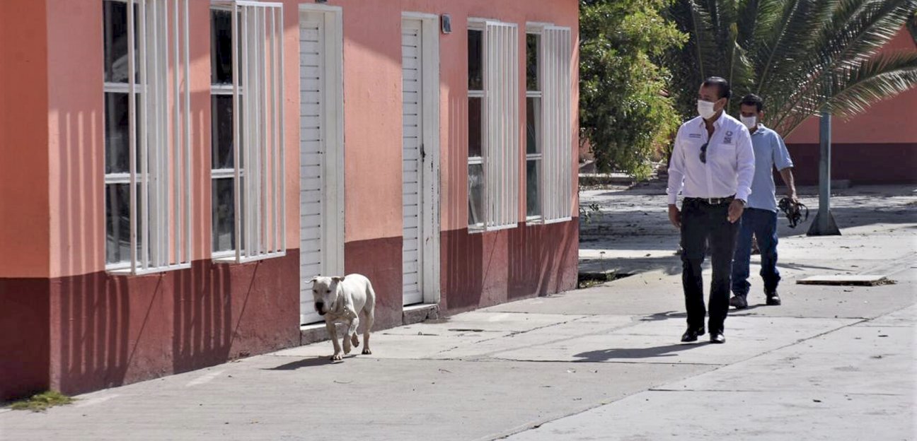 Programa Policía Escolar Canina presenta notable avance en Soledad 