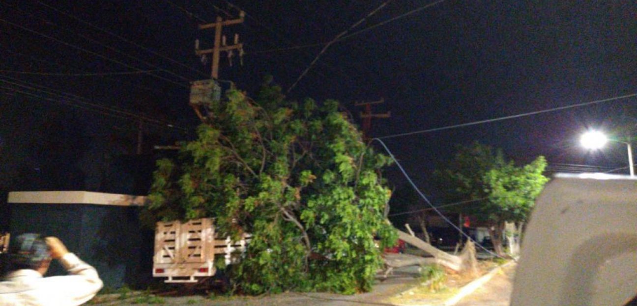 Frente frío número 58 ocasionó fuertes vientos en la ciudad