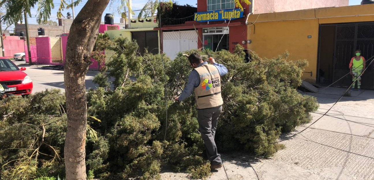 Atendió PC oportunamente reportes ante fuertes vientos 