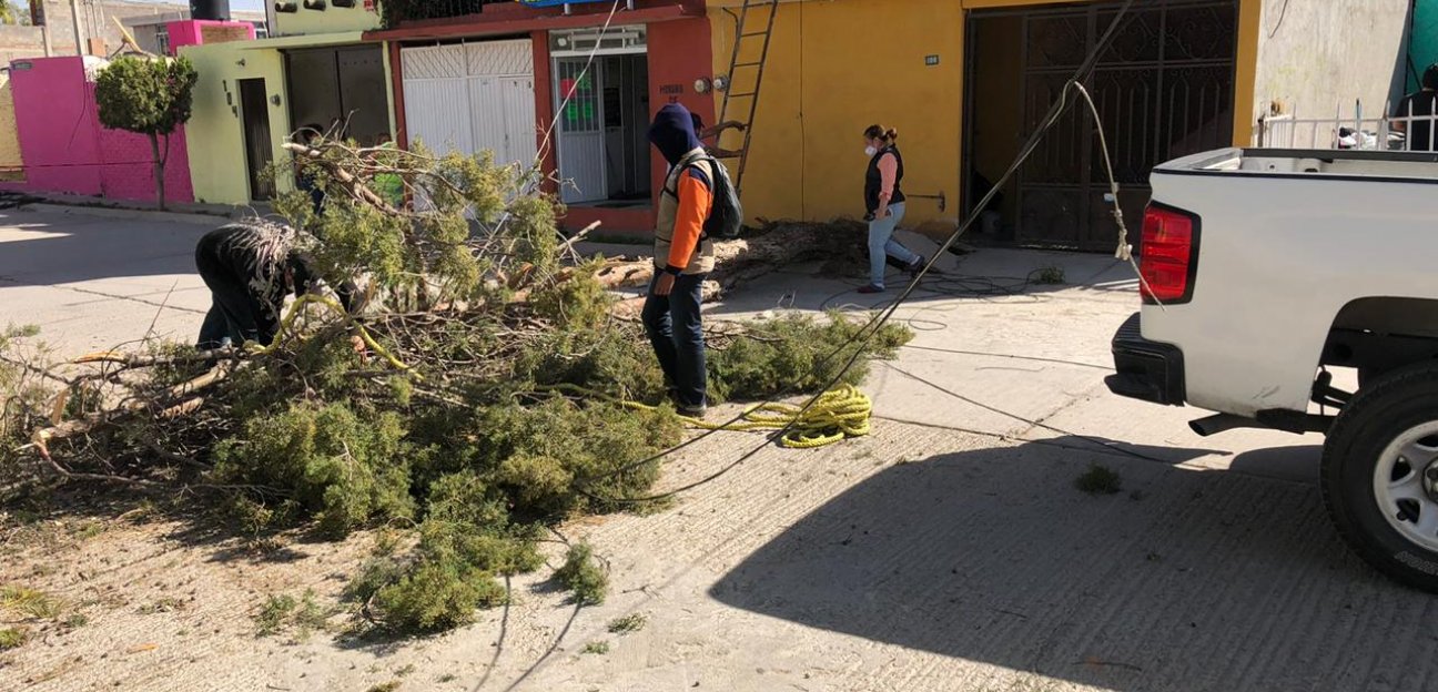 PC actúa mediante plan de prevención y atención por temporada de vientos