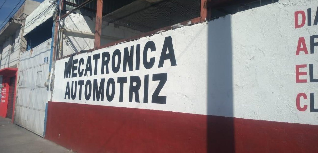 Negocios y empresas locales deberán cumplir lineamientos ecológicos