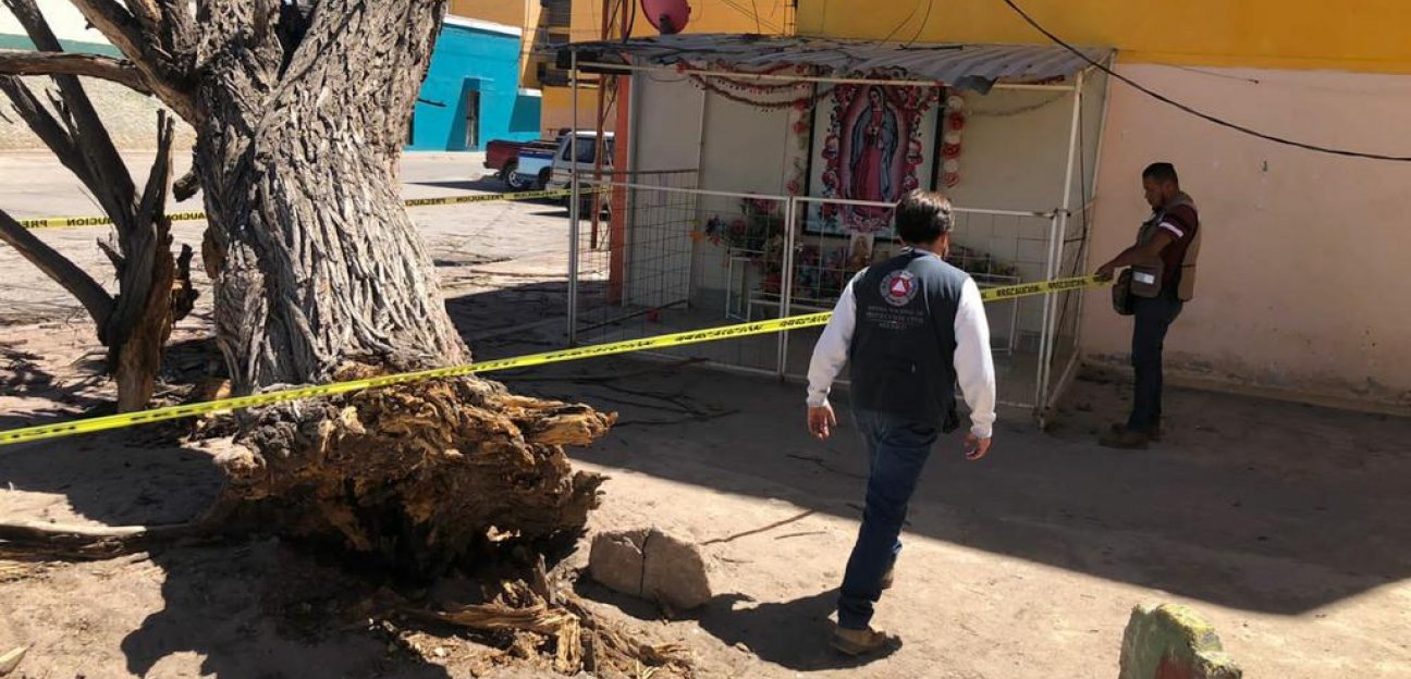 Piden a soledenses reportar cualquier objeto u árbol que represente riesgo en temporada de vientos