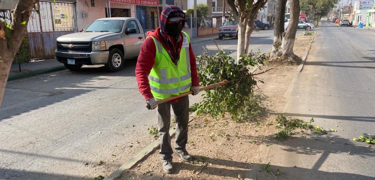 En Soledad no cesa el trabajo para embellecer y cuidar los espacios públicos