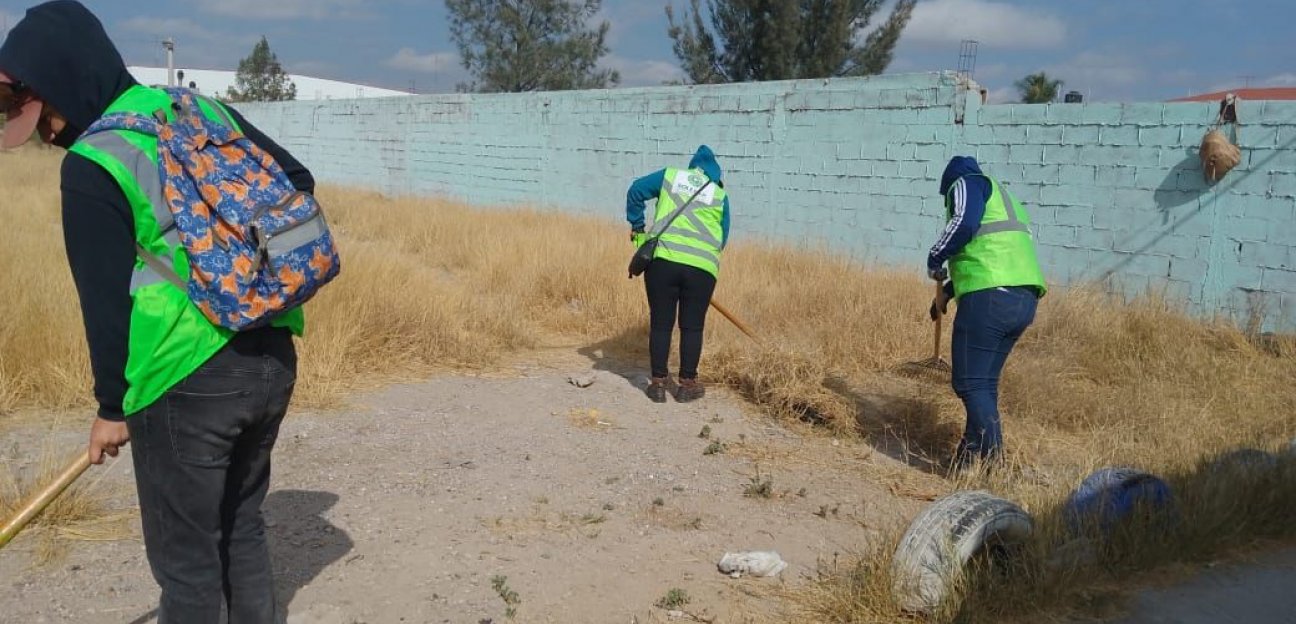 Retiran maleza de áreas comunes en el municipio de Soledad