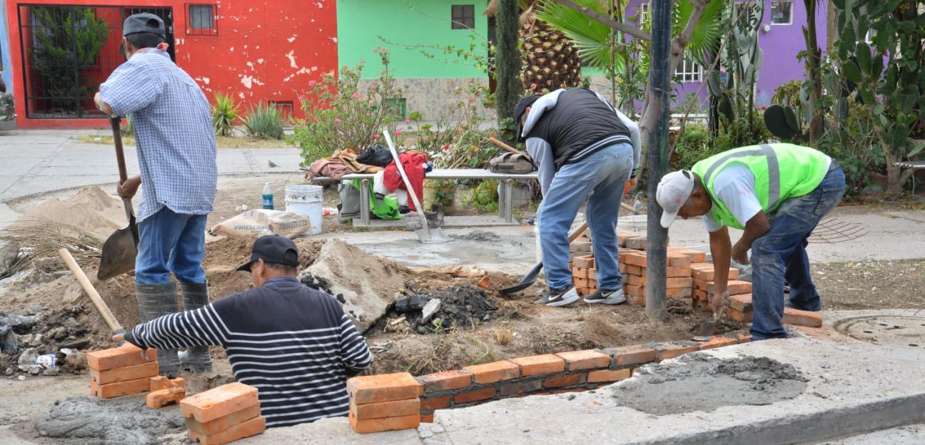 Semana Verde en tu Colonia, con significativos avances 