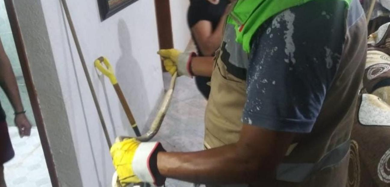 PC Municipal de Soledad atiende reportes por presencia de fauna silvestre en zonas urbanas