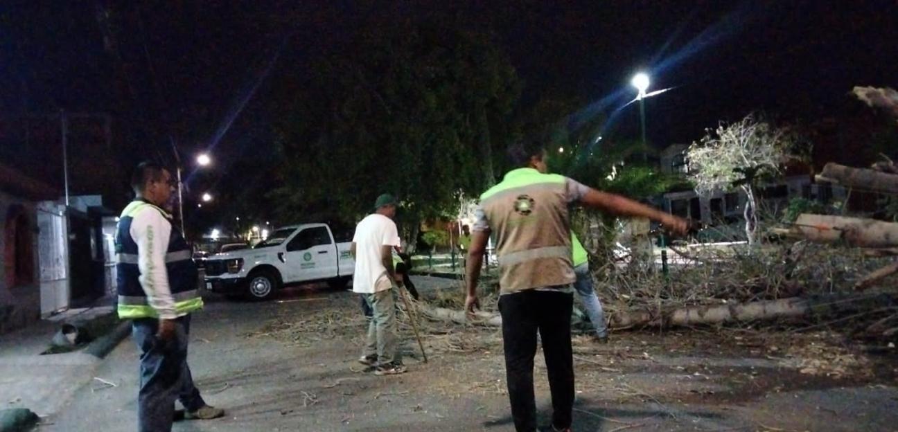 Operativo coordinado permite actuación inmediata por fuertes vientos, en Soledad