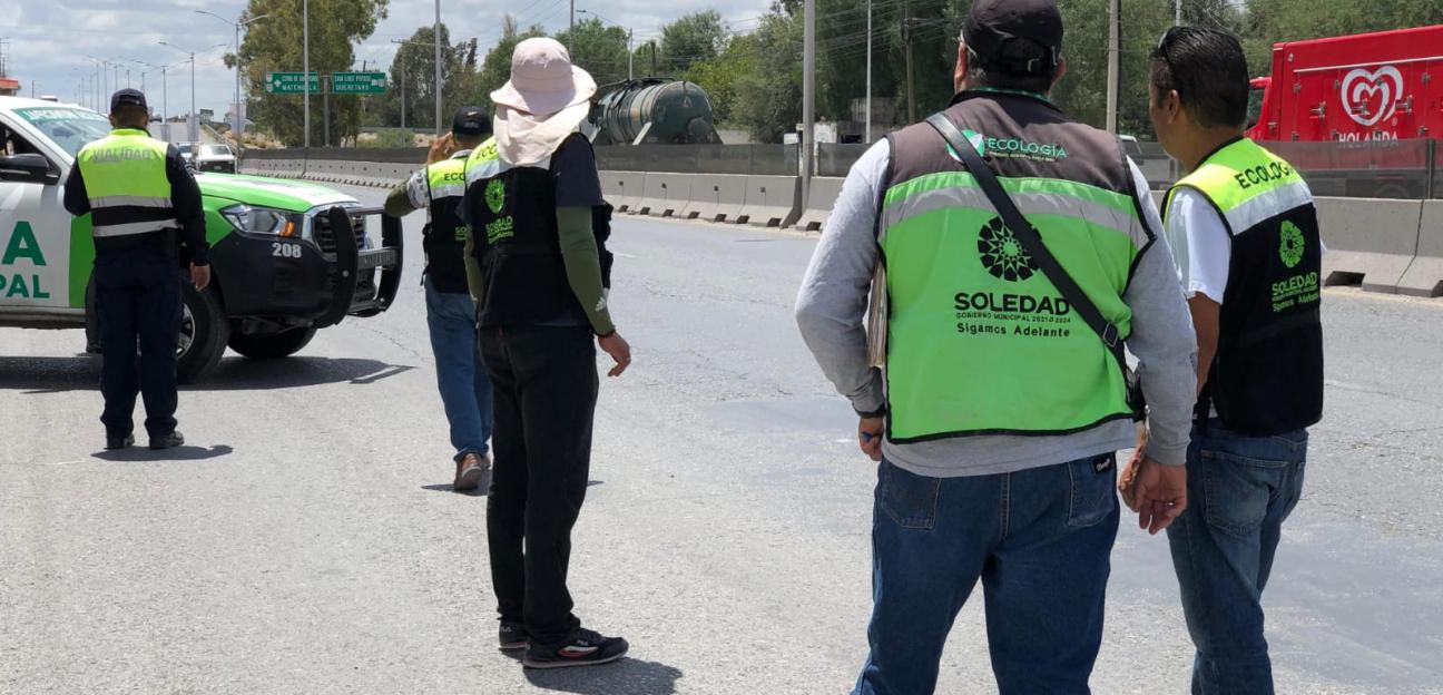 Ecología de Soledad regula operación de recolectores particulares de residuos
