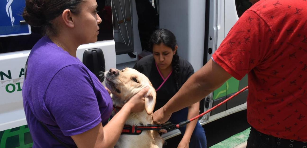 Con atención gratuita y diaria, AMBUDOG garantiza bienestar animal en Soledad