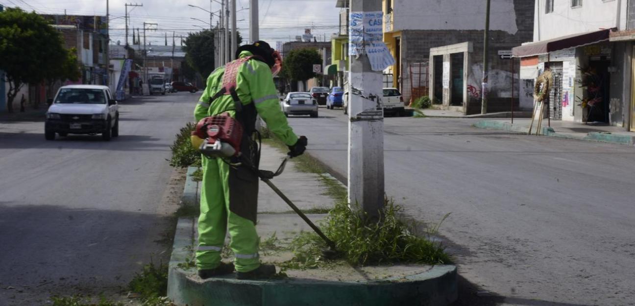 Sin descanso: cuadrillas de Imagen Urbana mejoran entornos públicos de Soledad
