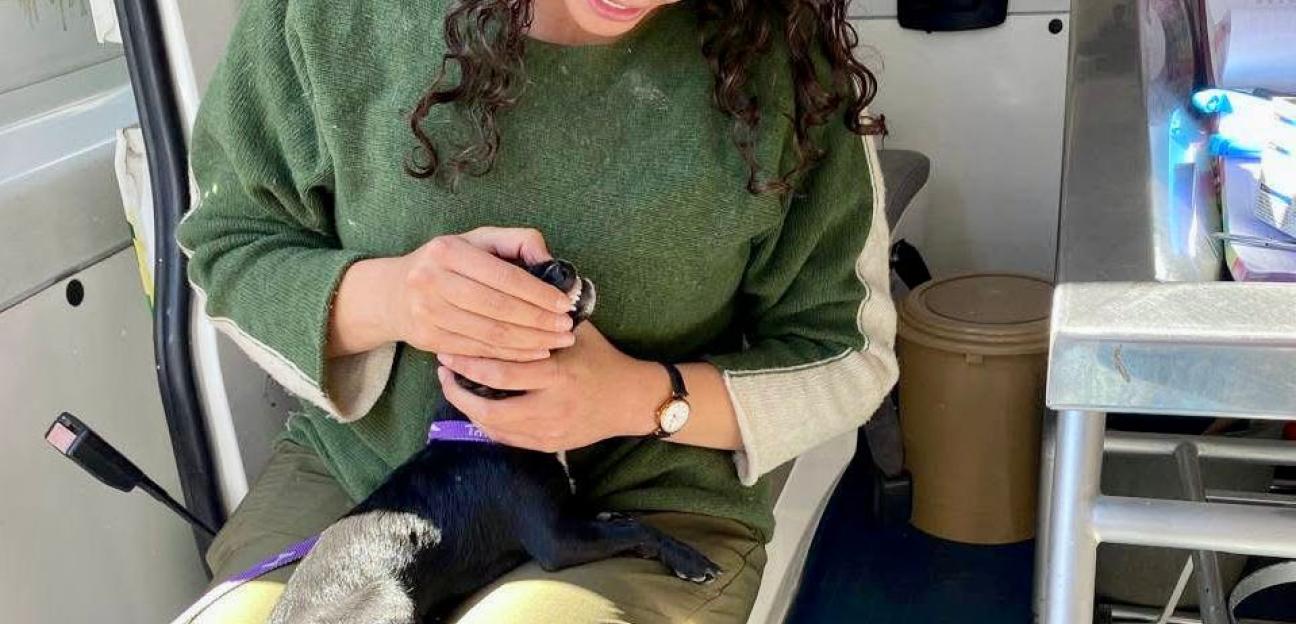 Con atención gratuita, Ambudog continúa garantizando el bienestar animal en Soledad