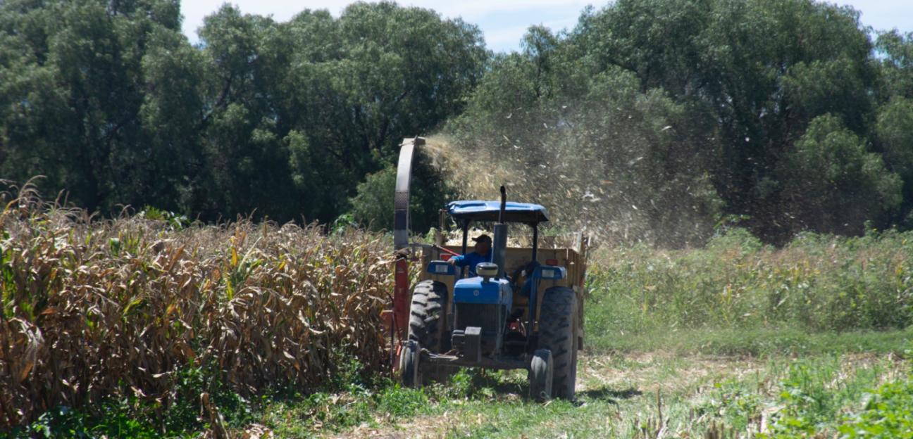 Campo soledense se fortalece la coordinación entre Ayuntamiento y productores