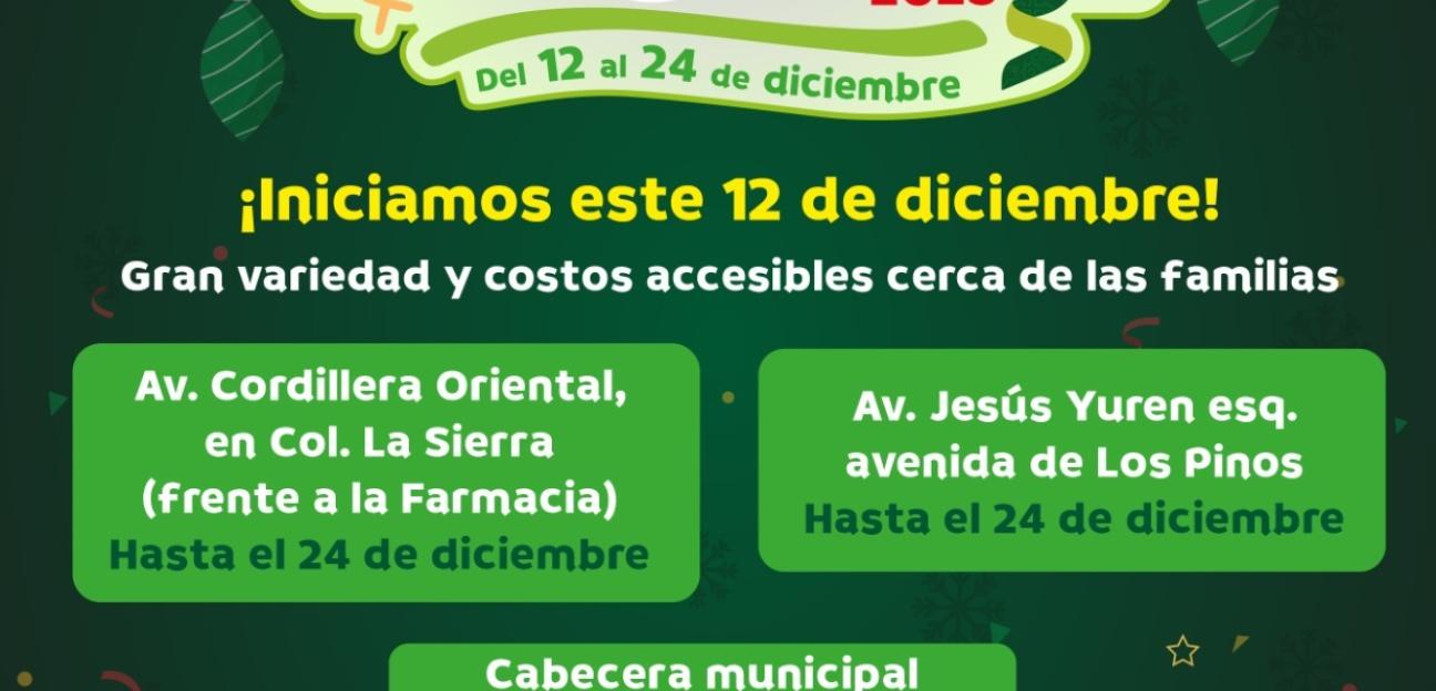 Este 12 de diciembre, inicia la Feria del Juguete en Soledad de G.S. con varias ubicaciones