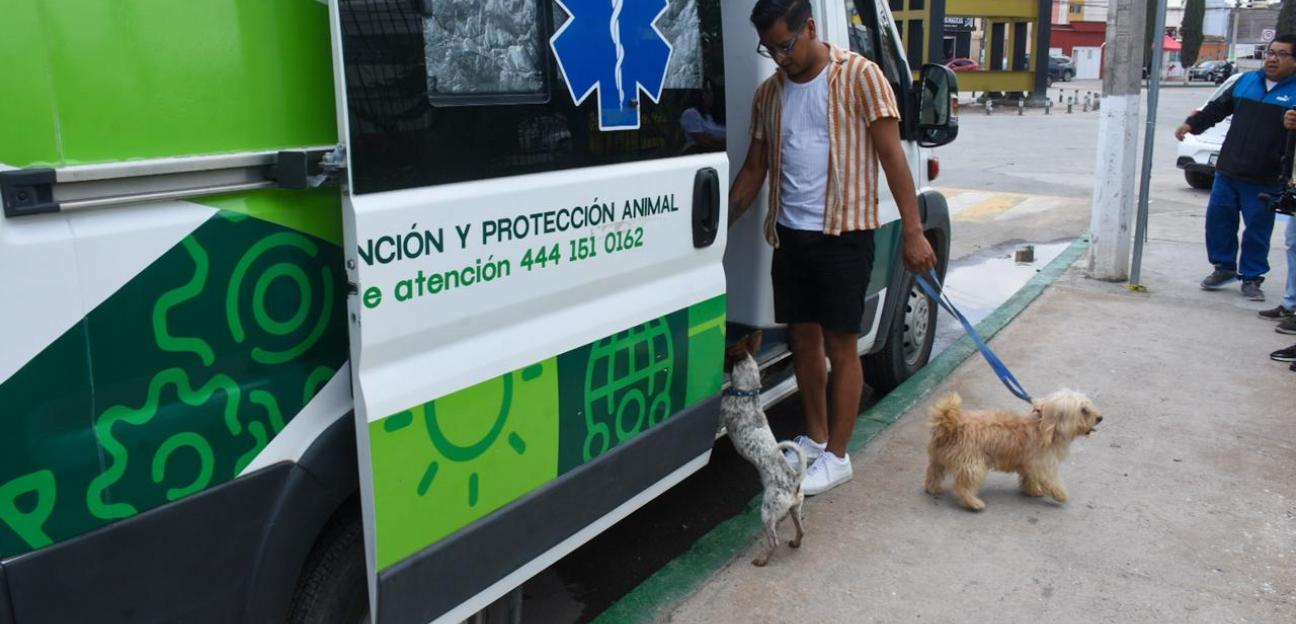 En el año 2025, Ambudog en Soledad otorgó más de 5 mil atenciones veterinarias a mascotas