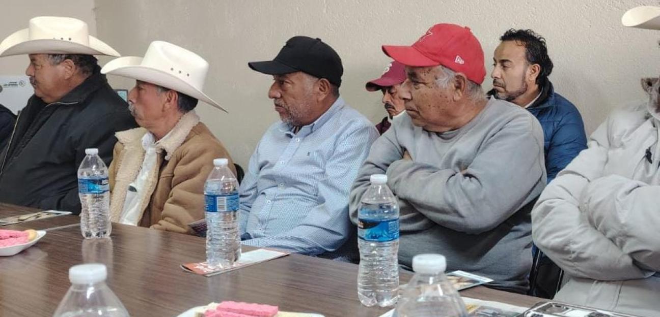 Ayuntamiento de Soledad continúa acciones preventivas contra gusano barrenador con productores