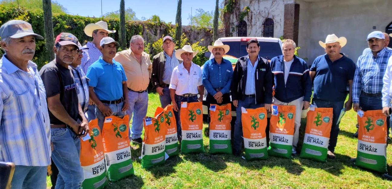 Productores soledenses reciben semilla de maíz elotero por parte del Ayuntamiento