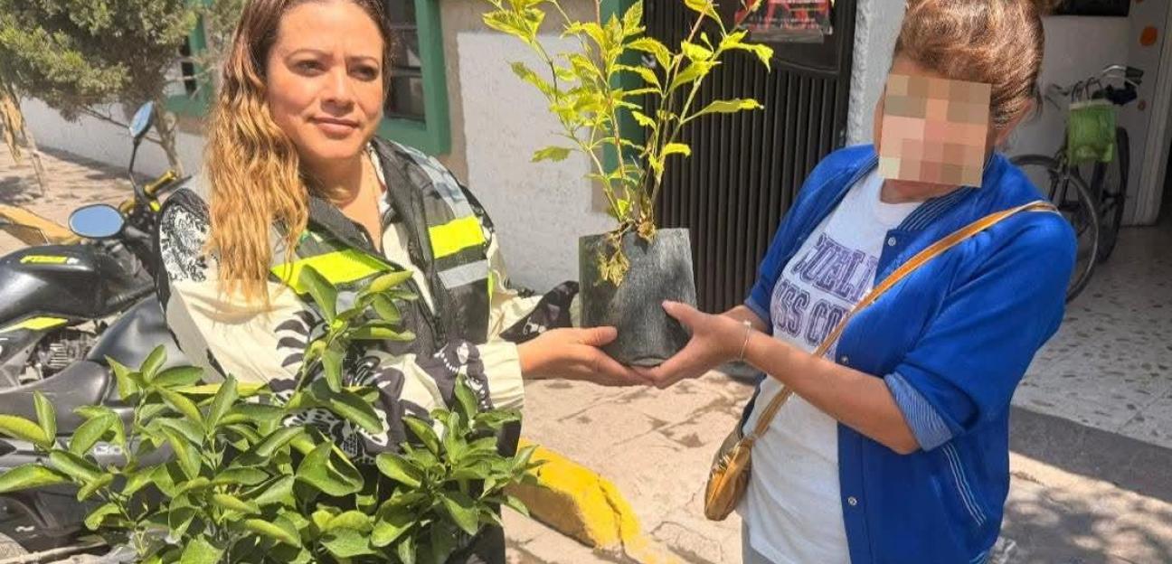 Gobierno soledense promueve el cuidado del medio ambiente con canje de basura electrónica por árboles