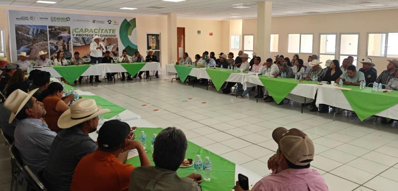 Municipio de Soledad robustece acciones compartidas para la prevención de gusano barrenador en ganado