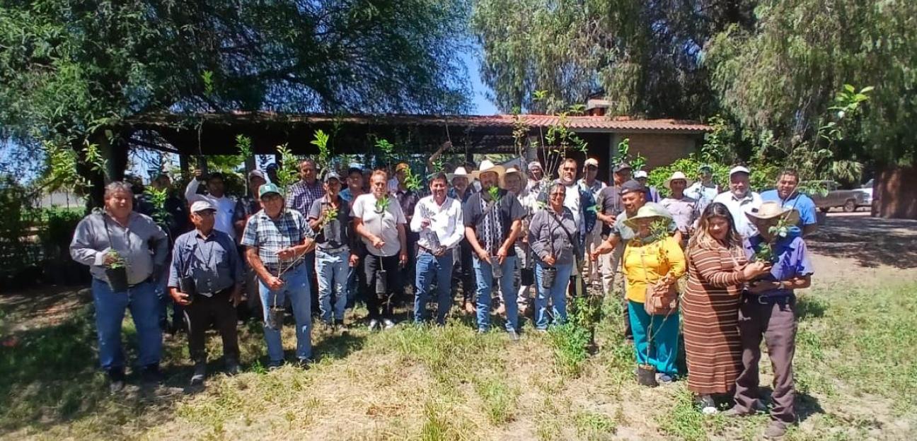 Municipio de Soledad impulsa reforestación productiva con entrega de 1,500 árboles frutales