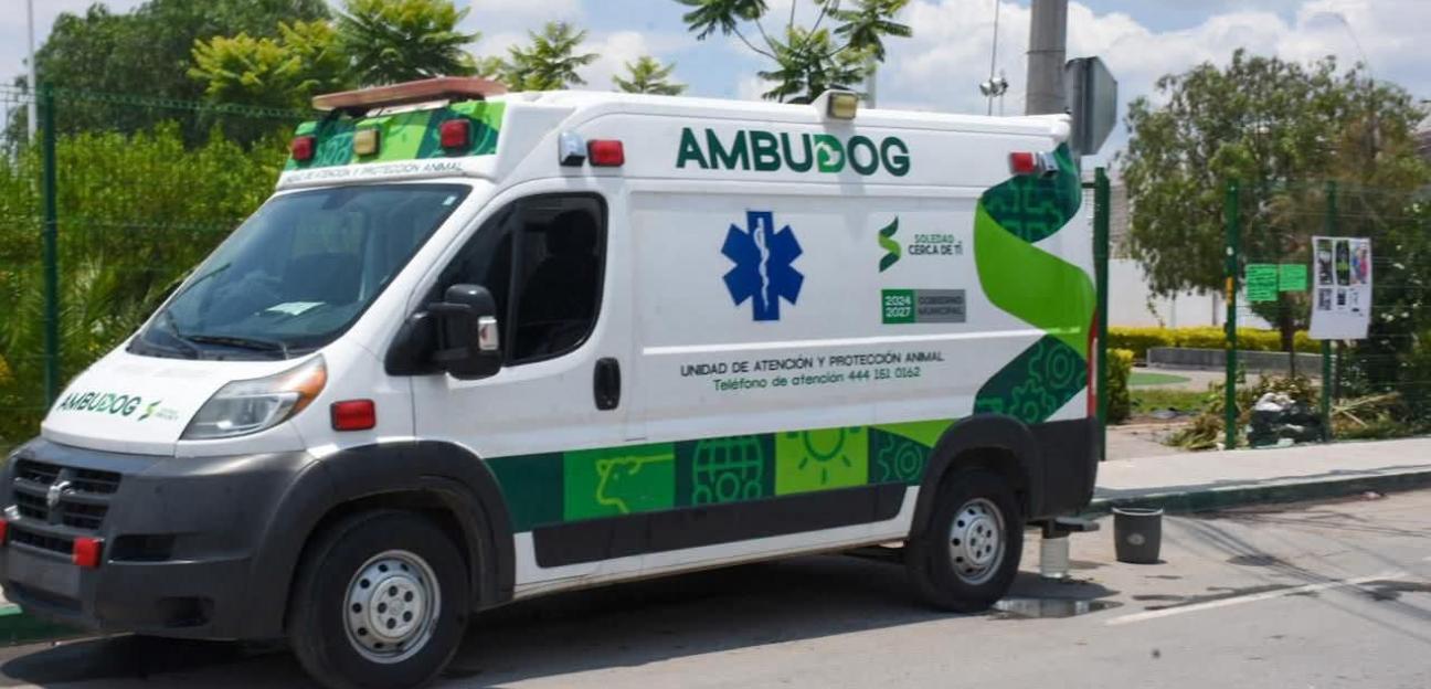 Municipio de Soledad, primero en establecer agenda de protección animal en SLP