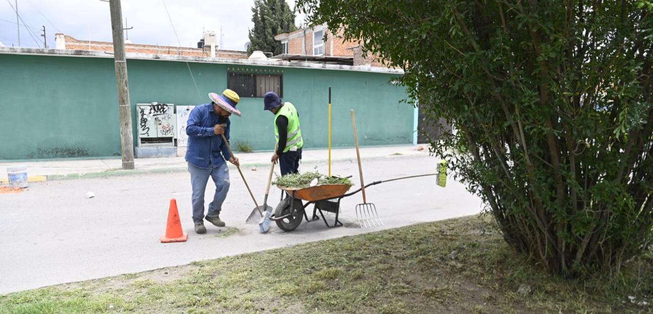 Gobierno de Soledad rescata áreas verdes y comunes con jornadas de limpieza intensiva