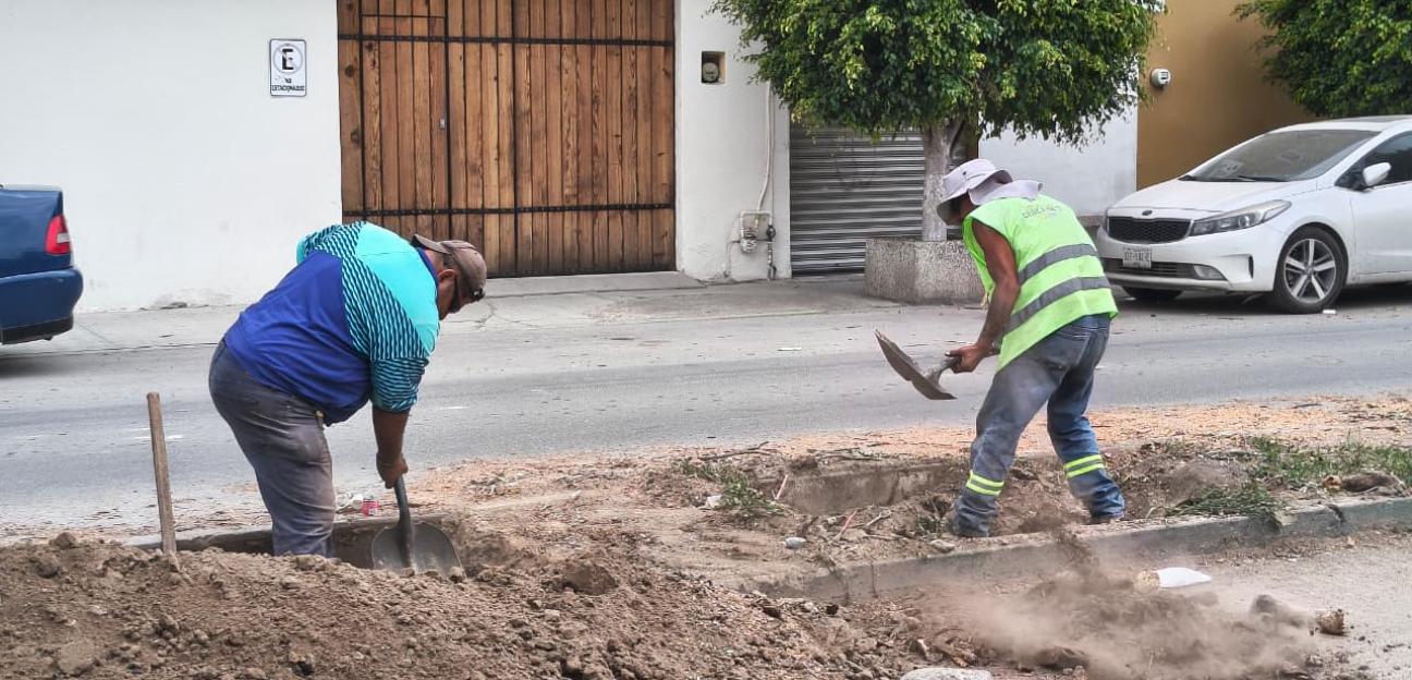 Ayuntamiento de Soledad repara drenajes colapsados y brinda solución a familias afectadas