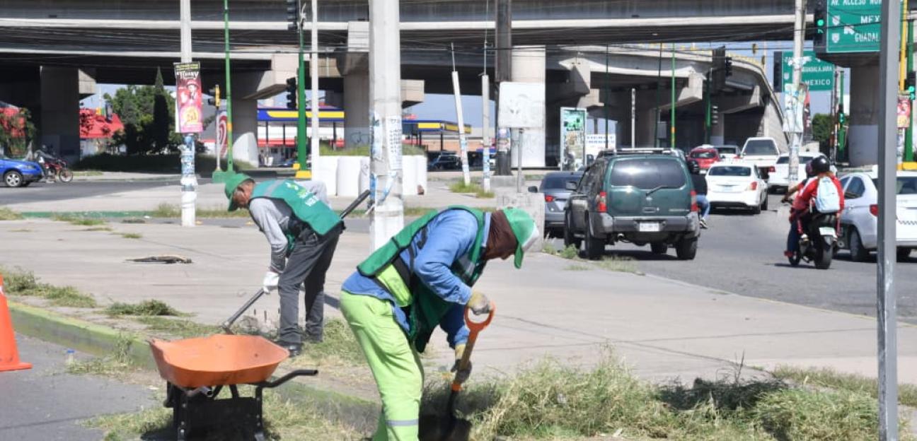Municipio de Soledad intensifica limpieza de áreas recreativas, avenidas y espacios públicos