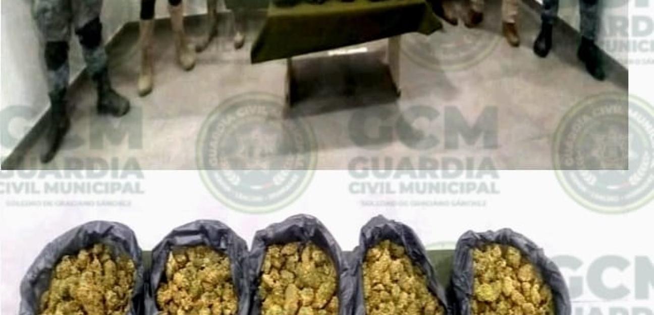 Durante operativo BOMI, oficiales de la GCM de Soledad aseguran tres kilos de marihuana