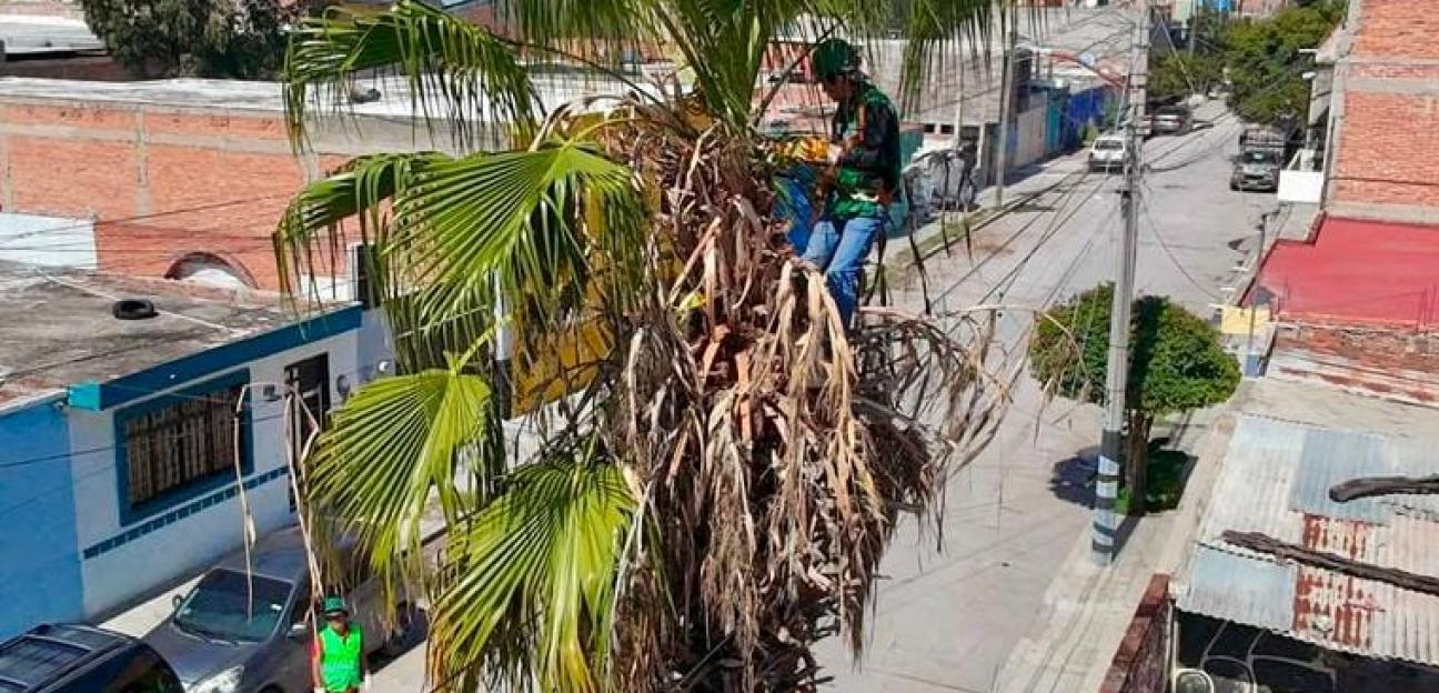 Con personal capacitado, Ayuntamiento de Soledad previene riesgos de cableado eléctrico