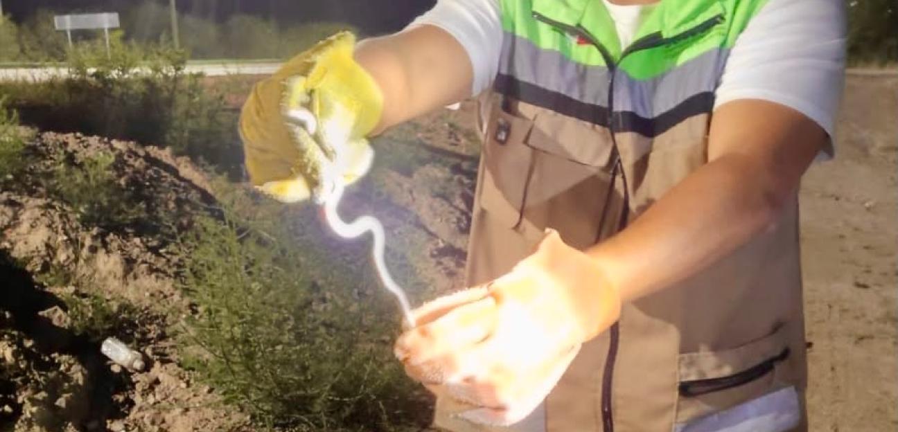 Gobierno de Soledad brinda protección mediante la atención de reportes por fauna silvestre