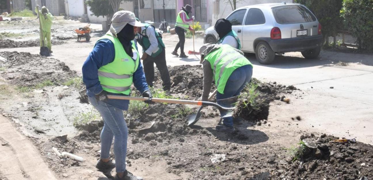 Ayuntamiento atiende afectaciones por lluvias y recupera vialidad en colonia Vizcaya
